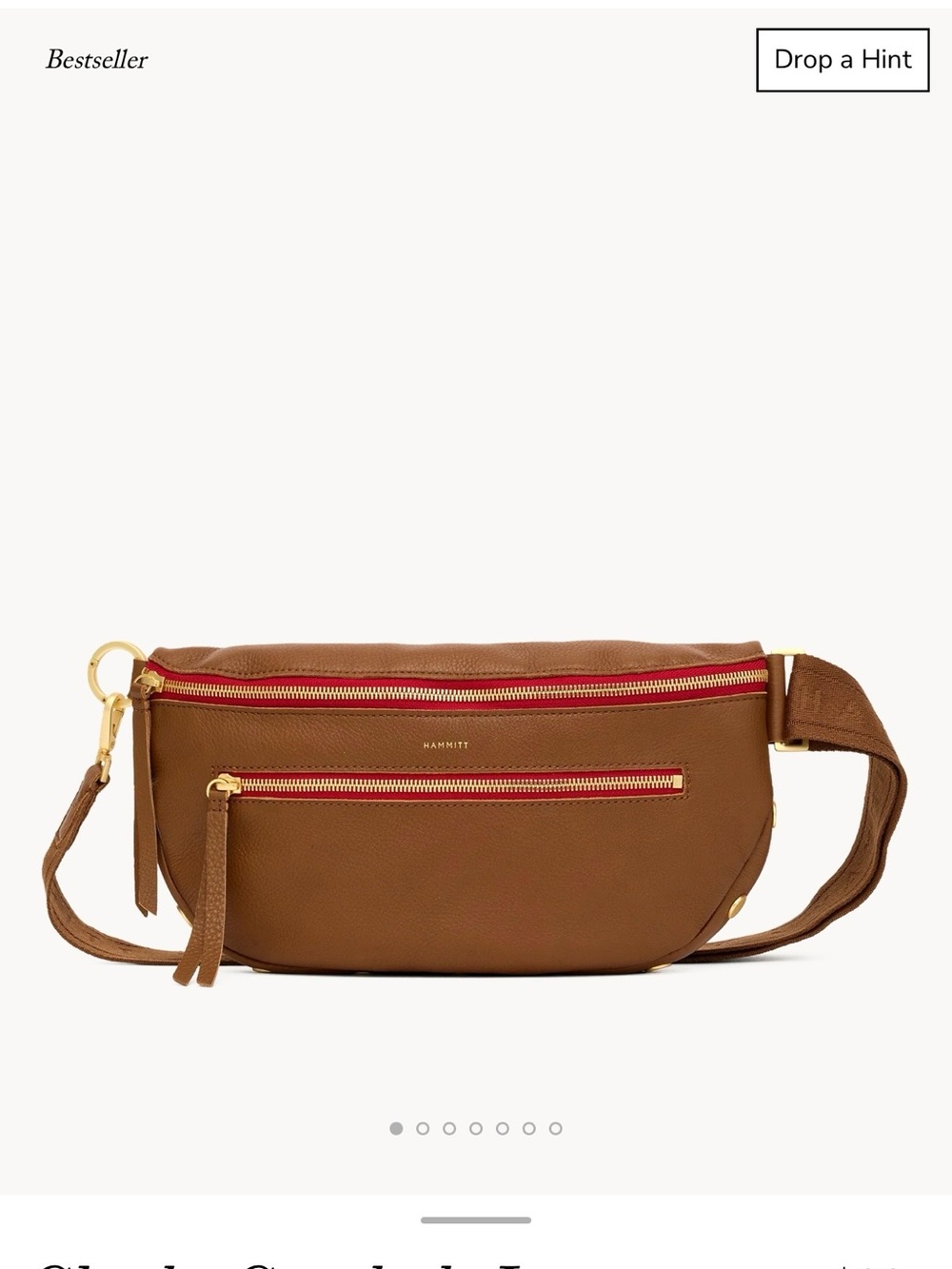 Hammitt Charles crossbody large